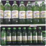 Kombucha and moringa