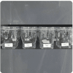 Totally home airtight canister